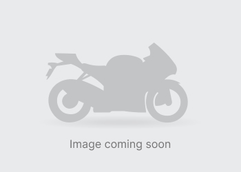 IMG_5383-966×500